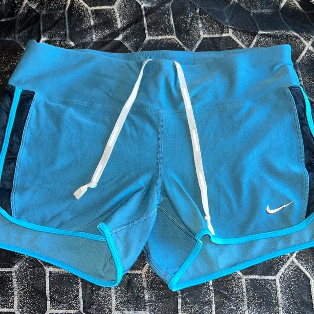 Nike Blue Dri-Fit Running Shorts with Drawstrings and Hidden Back Pocket Size L